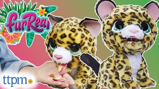 FurReal Lil Wilds Lolly the Leopard from Hasbro Review [upl. by Ettena685]