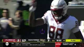 This amazing catch for a touchdown by Kentron Poitier gets called back for a hold on FSU [upl. by Manaker]