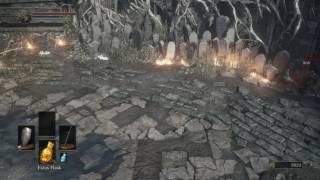 Dark Souls 3  Sirris and Yuria vs Hawkwood and Leonhard [upl. by Mikael969]