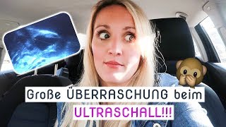 Vlog  Aufgeregt  Termin beim Frauenarzt  1 Zyklus nach Absetzen der Pille  Annis Blog [upl. by Fleur]