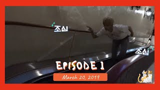 Finding SKZ 190320 Season Episode 1 FULL EPISODE [upl. by Nowad]