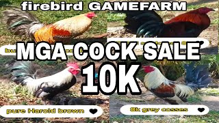 ANG FARM VISIT NATIN SA FIREBIRD GAMEFARM MGA COCK SALE UPDATE [upl. by Haduhey]