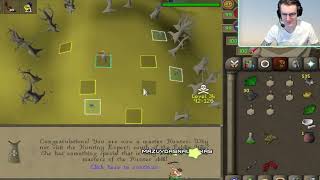 OSRS 99 Hunter Achievement [upl. by Eibba223]