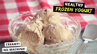 Homemade Frozen Yogurt HEALTHY CREAMY NO MACHINE REQUIRED [upl. by Rupert]