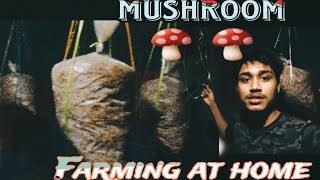 How to grow oyster mushroom at home full guide [upl. by Gelb927]