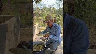 Así se prepara un elote al estilo rancho elote cosecha rancho [upl. by Hudis494]