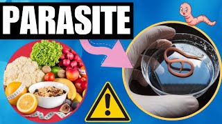 ALWAYS TIRED TOP 5 AntiParasite Foods Facts Revealed 2023 [upl. by Toinette]