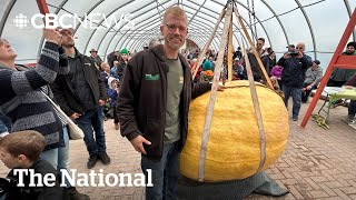 TheMoment a PEI man won big with his giant pumpkin [upl. by Adnih]