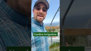 Drip Tape vs Drip Emitters Which is Best for Your Garden [upl. by Ahsied]