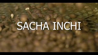 Processing Plant  Sacha Inchi  Thailand [upl. by Paschasia]