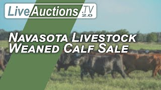 Navasota Livestock Weaned Calf Sale [upl. by Htez764]