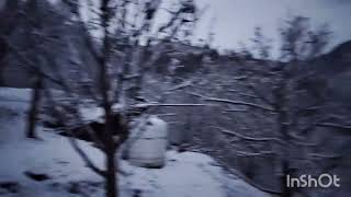 Session ki phle brffhappy snowfall [upl. by Gitlow]