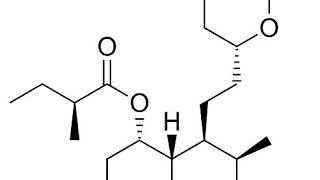 Lovastatin  Wikipedia audio article [upl. by Lyrej]