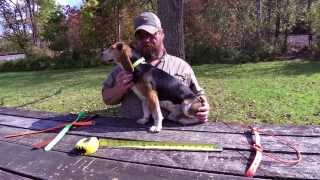 Andy Purnell of Lion Country Supply demonstrates how to size your collar for your dog [upl. by Nostaw506]