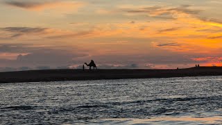 POOVAR Island  Backwaters [upl. by Adlin942]