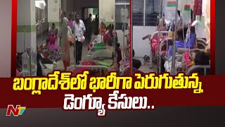 బంగ్లాదేశ్‌లో భారీగా పెరుగుతున్న డెంగ్యూ కేసులు  Dengue  Bangladesh  Ntv [upl. by Etnuhs]