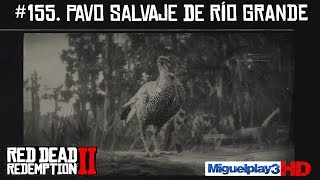 Localización Pavo Salvaje de Río Grande  155 Compendio Animales  Red dead redemption 2 [upl. by Yadrahs713]