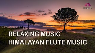 Himalayan Flute Music  Meditation Music  Relaxing Music बाँसुरी Aparmita Ep 145 [upl. by Reichel]