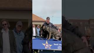 Mira el emotivo Adiós a Luca el valiente perro K9 ❤️🐾 [upl. by Airretnahs]