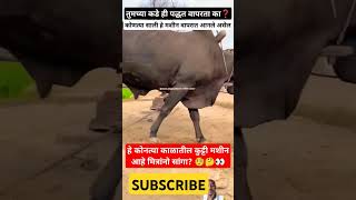 🧐कोणत्या काळातील कुट्टी मशीन आहे मित्रांनो🤔👀😯farmingshortvideosviralshortsRoyalशेतकरीशेतकरीbran [upl. by Pernell334]