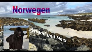 Rundreise Skandinavien Stellplatz und Strandspaziergang am nördlichsten Festlandpunkt vlog 17 [upl. by Manya]