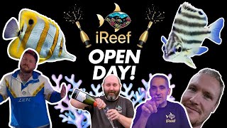 New Saltwater Aquarium Shop Tour UK  iReef Rochdale [upl. by Swerdna]