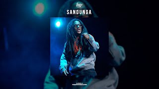 SANDUNGA  Reggaeton Bachata x Mambo Beat Instrumental  Don Omar x Tego Calderon Type beat  2023 [upl. by Marilou]