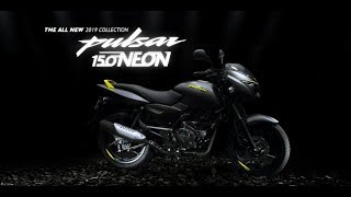 Watch Out For 2019 Neon Edition Of Pulsar 150  Shade Of Thrill  Bajaj Pulsar [upl. by Nahtanaj647]