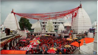 ShivParvati Gathbandhan at Baba Baidyanath Dham in Jharkhand [upl. by Cesaria]