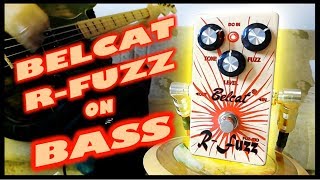 Belcat FUZ510 RFuzz Bass Demo [upl. by Sondra108]