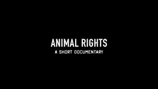 Animal Rights A short documentary No graphic content [upl. by Iolande710]