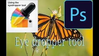 How to Use the Eyedropper and Color Sampler Tools in Photoshop CC Full Bangla Tutorial 2018 [upl. by Ellennahc814]