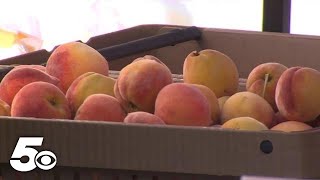 Johnson County Peach Festival happening next weekend [upl. by Navets885]