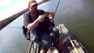 Small jig fishing Glendale Lake PA [upl. by Dolley223]