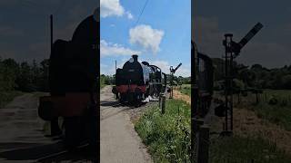 31806 at Kent amp East Sussex Railways 50th Anniversary Gala 31806 50thanniversarygala Uclass [upl. by Haneekas673]