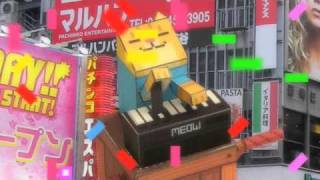 keyboard cat papercraft tribute [upl. by Eleets766]