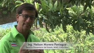 Entrevista Nelson Morera P Regulaciones contra ingrerso del FOC R4T [upl. by Eisak678]