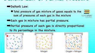 05L Respiratory Gas Exchange and Dalton’s Law [upl. by Irma303]