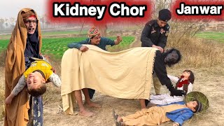 Kidney Chor Janwar New Funny Video 2024 by Tuti Gull Official [upl. by Gnanmos323]