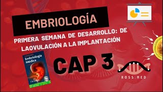 CAP 3PRIMERA SEMANA DE DESARROLLO DE LA OVULACIÓN A LA IMPLANTACIÓNRESUMENPODCASTLAGMAN [upl. by Nnaeirrac]