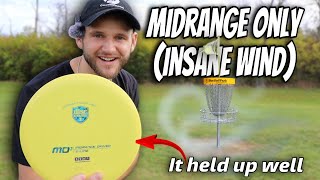 Midrange Vs Wind  Disc Golf Challenge In Brutal Conditions  Disc Golf [upl. by Aminta160]