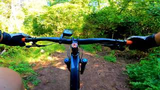 Mountain Biking at Nockamixon State Park  Haycock Run and Eastern Woods Trails [upl. by Enirroc]