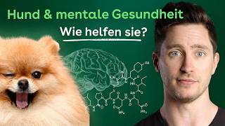 Hund für die Psyche Können Hunde Depressionen und Ängste lindern [upl. by Ardnod]