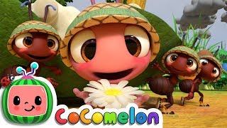 The Ants Go Marching  CoComelon Nursery Rhymes amp Kids Songs [upl. by Devitt]