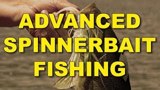 Advanced Spinnerbait Fishing  Bass Fishing [upl. by Hough152]