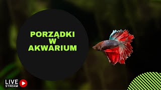 Wigilijne porządki w akwarium LIVE 71 [upl. by Schnabel]