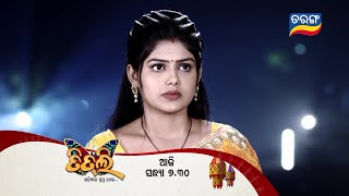 TITLI ଉଡ଼ିବାର ସ୍ୱପ୍ନ ନେଇ  Episodic Promo186  30th Dec 2023 730 pm  Tarang TV  Tarang Plus [upl. by Sheridan]