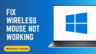 How to Fix Wireless Mouse Not Working on Laptop [upl. by Saw277]