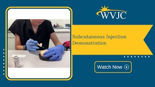 Subcutaneous Injection Demonstration [upl. by Orsa]