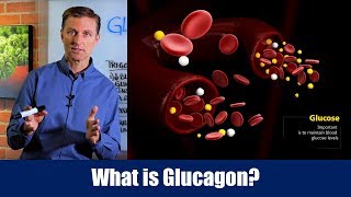 What is Glucagon – Dr Berg [upl. by Aisilef]